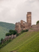 02-Castles on Rhine-edits-8